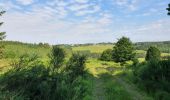 Tour Wandern Feitweiler - rando fauvillers 26 /06/2021 - Photo 6