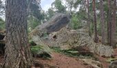 Tocht Stappen Fontainebleau - Fontainebleau Sentier Denecourt 17 - Photo 13