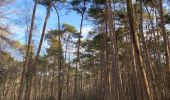 Tour Wandern Belœil - Stambruges, Beloeil, les Ecacheries, mer de sable, Stambruges - Photo 3