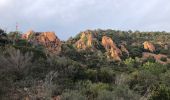 Tocht Stappen Saint-Raphaël - massif de l'Esterel : autour des grues  - Photo 1