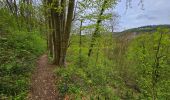 Trail Walking Hotton - Balade à Hotton - Photo 15