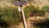 Excursión Senderismo Capoulet-et-Junac - Tour de la bouiche de Gesties - Photo 10