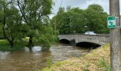 Randonnée Marche Rochefort - Han-sur-Lesse - Photo 2