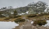 Randonnée A pied Rascafría - [RV 2] Pico de Peñalara - Photo 10