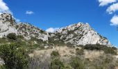 Tocht Stappen Eygalières - Petit et Gros Calan - Photo 6