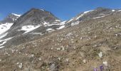 Randonnée Marche Villarodin-Bourget - Amodon col du Barbier - Photo 4