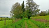 Randonnée Marche Anthisnes - anthisne . vien . les floxhes . la rock . les stepennes . anthisnes  - Photo 6