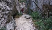 Randonnée Marche Cheval-Blanc - Gorges du régalons - retour Mayorques - Photo 5