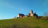 Randonnée Marche Sigy-le-Châtel - si gt jonquilles  - Photo 1
