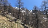 Tocht Sneeuwschoenen Entraunes - Tête de Sanguinière - Photo 1