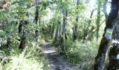 Trail Walking Ponet-et-Saint-Auban - Ponet-et-St-Auban - Montagne de Desse - Marignac - Photo 12