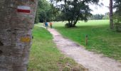 Trail Walking Fontaine-la-Mallet - Le Havre:  Forêt de Montgeon  variante N°4 - Photo 5