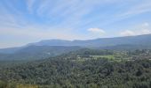 Trail Walking Plan-d'Aups-Sainte-Baume - Plan d'Aups-Sainte Baume - Photo 9