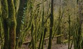 Tour Wandern Samognat - Grand tour du lac de Samoniat - Photo 6