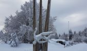 Tour Wandern Lepuix - Rando raquettes Ballon d'Alsace depuis Saut de la Truite  - Photo 3