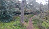 Tour Wandern Fontainebleau - Belle-croix 27 janvier 2023  - Photo 10