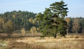 Tocht Te voet Neu Wulmstorf - Wander-Tour Wulmstorfer Heide - Photo 1