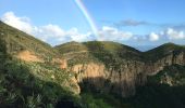 Randonnée A pied Santa Brígida - Camino Borde de Caldera - Photo 10