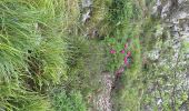 Trail  Castillon - Grammondo 3 - Photo 7