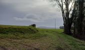 Trail Walking Vézelise - vezelise omelmont houdreville - Photo 11