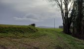 Tocht Stappen Vézelise - vezelise omelmont houdreville - Photo 11