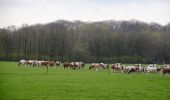 Trail On foot Arnhem - Deelerwoud - Rood - Photo 9