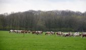 Tour Zu Fuß Arnheim - Deelerwoud - Groen - Photo 9