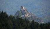 Tocht Te voet Gemeinde Breitenstein - Breitenstein - Klamm - Photo 1