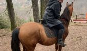 Trail Horseback riding Métairies-Saint-Quirin - Tiboy tivio  - Photo 3