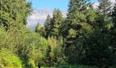 Tour Wandern Les Houches - J21 - R20 - La Fontaine - La Tour St Michel - Photo 7