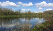 Tour Wandern Seneffe - 67.814 Arquennes - Murmures des temps anciens - Photo 3