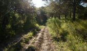 Trail Walking Eygluy-Escoulin - Le Taillefer - Escoulin-18969835 - Photo 10