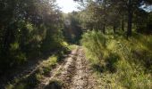 Tour Wandern Eygluy-Escoulin - Le Taillefer - Escoulin-18969835 - Photo 10