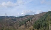 Trail Walking La Roche-en-Ardenne - rando samrée 19-03-2024 - Photo 13