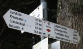 Randonnée A pied Oberharmersbach - Riersbach - Hark - Photo 5