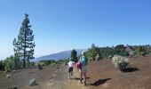 Tour Wandern El Paso - Wikiloc - La Palma: Cumbre Vieja Vulkaanroute half - Photo 11