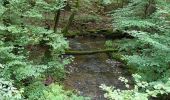 Trail Walking Bouillon - Bellevaux 190923 - Photo 1