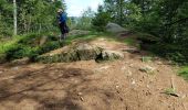 Excursión Senderismo Gérardmer - le saut de la bourique Gérardmer 08/08/23 - Photo 1