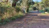 Randonnée Marche Mandelieu-la-Napoule - ST MARTIN - CADIERES A/R - Photo 17