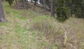 Tocht Stappen Bayons - chemin du lac des Monges au sommet - Photo 2