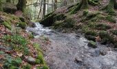 Randonnée Marche Lepuix - Ballon d'Alsace - cascade et lac d'Alfeld - Photo 11