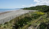 Tocht Te voet Unknown - Te Araroa - 06 Wellington - c Waikanae to Paekakariki - Photo 5