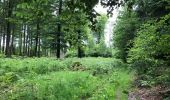 Randonnée Marche Libramont-Chevigny - Flohimont Freux 29 km - Photo 10