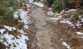Trail Walking Sainte-Ode - rando lavacherie 29/12/2020 - Photo 3