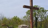 Randonnée Marche Saint-Pierre-d'Alvey - Mont Tournier pierre vire-28-04-23 - Photo 11