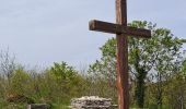 Trail Walking Saint-Pierre-d'Alvey - Mont Tournier pierre vire-28-04-23 - Photo 11