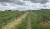 Trail On foot Het Hogeland - Groningen Loopt: De Marne 2 - Photo 1