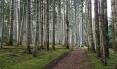 Tour Wandern Novacelles - 2018-12-27 13:34:23 Jour - Photo 7