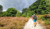 Tocht Stappen Dourdan - Le tour du Grand Paris via le GR1 Etape 18 Dourdan Rambouillet - Photo 11