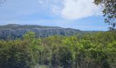 Trail Walking Nans-les-Pins - De Nans les pins vers les sources de l'Huveaune - Photo 15